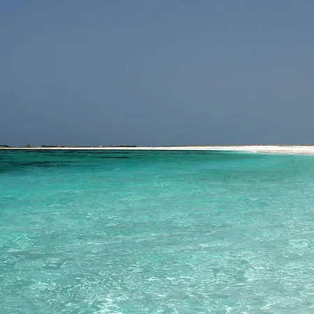 Ohana توري غراندي