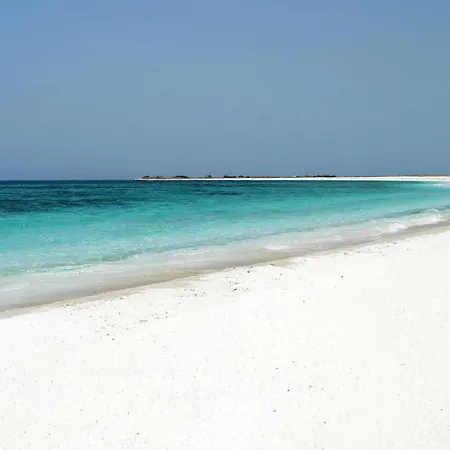 Daire Ohana - Sa Murta *